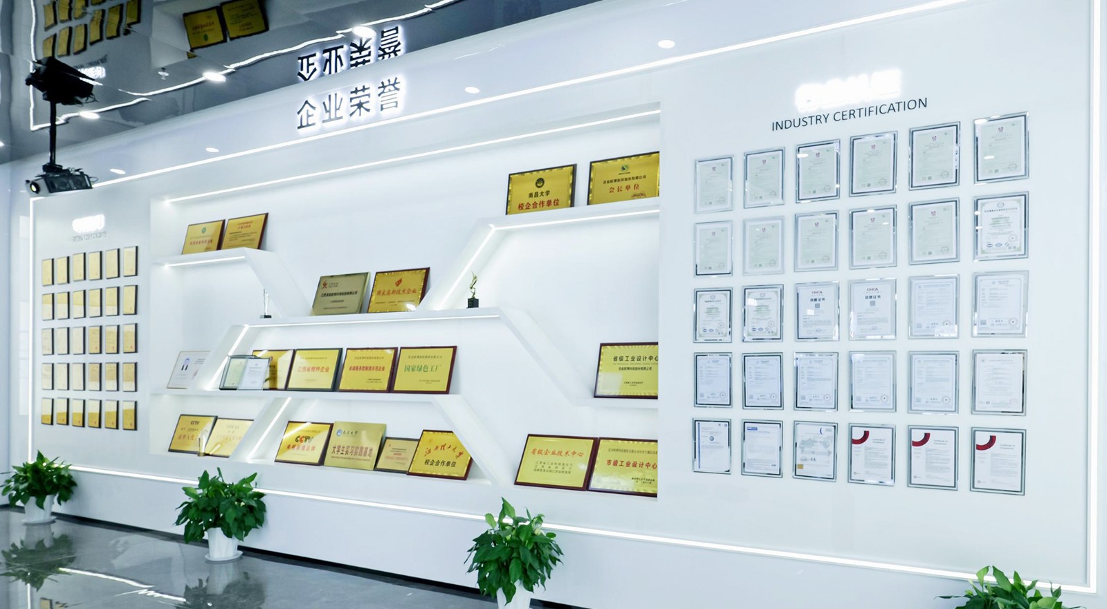 1762565628501991.jpg 8