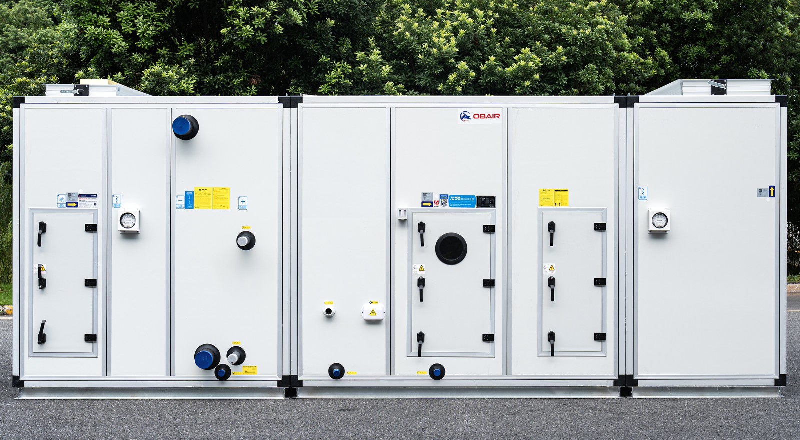 1766364890309873.jpg 4-2