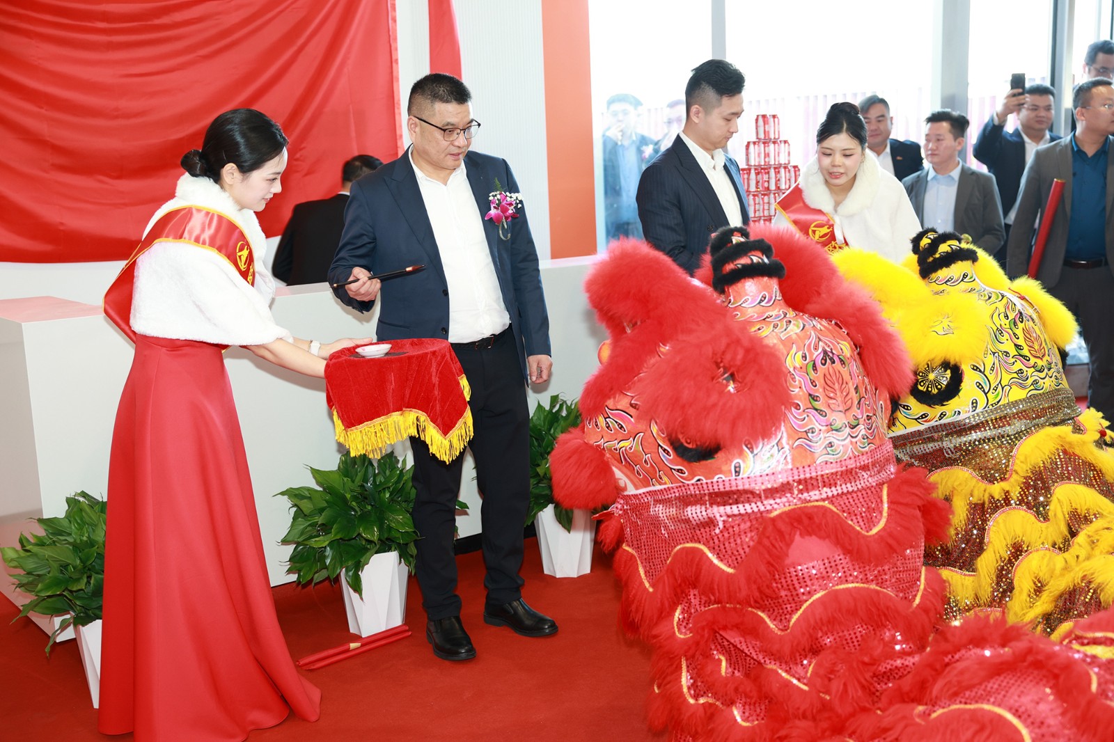 c155184c-201e-4d70-8a29-c01b6d85f8dd