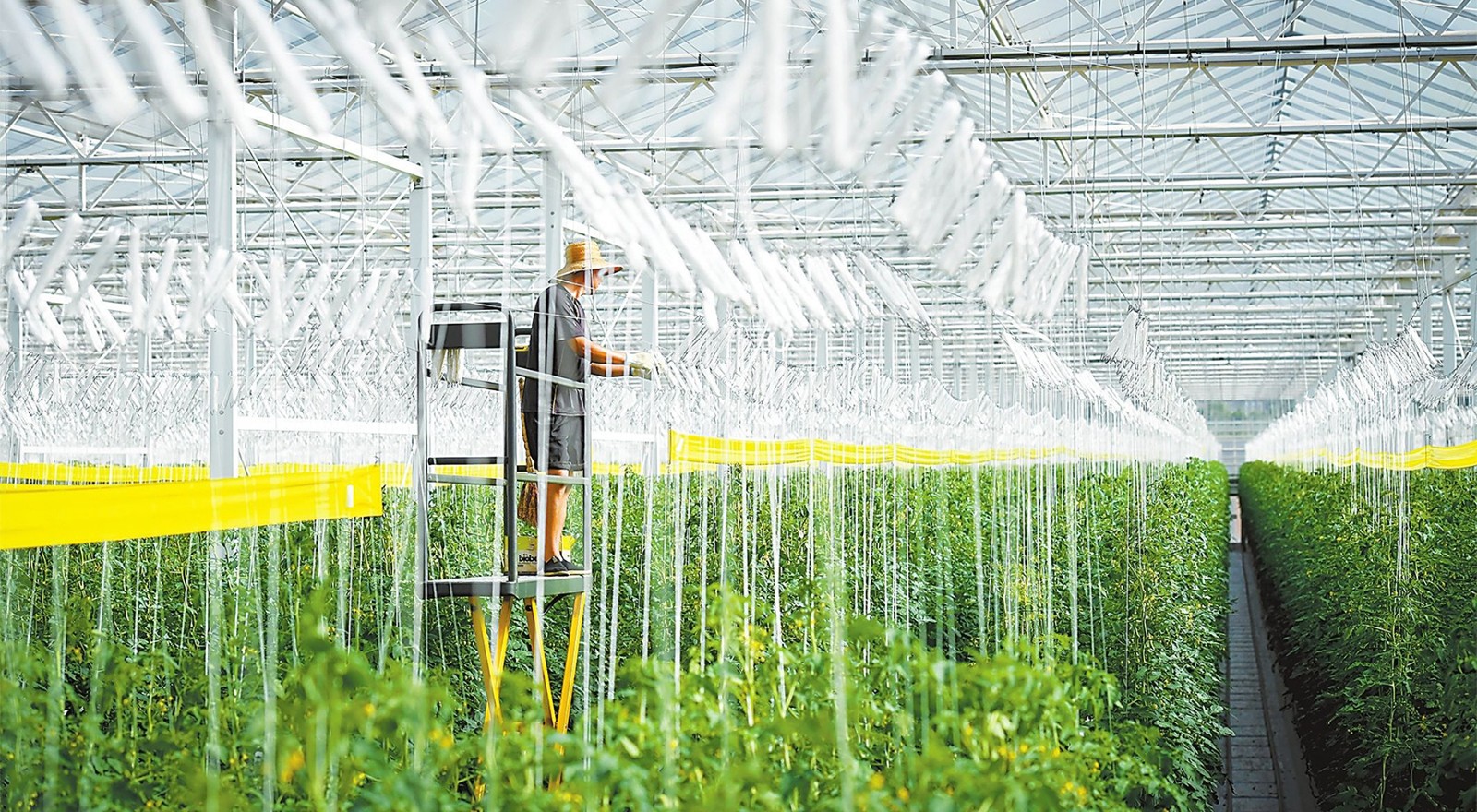 1769735587160098.jpg 7